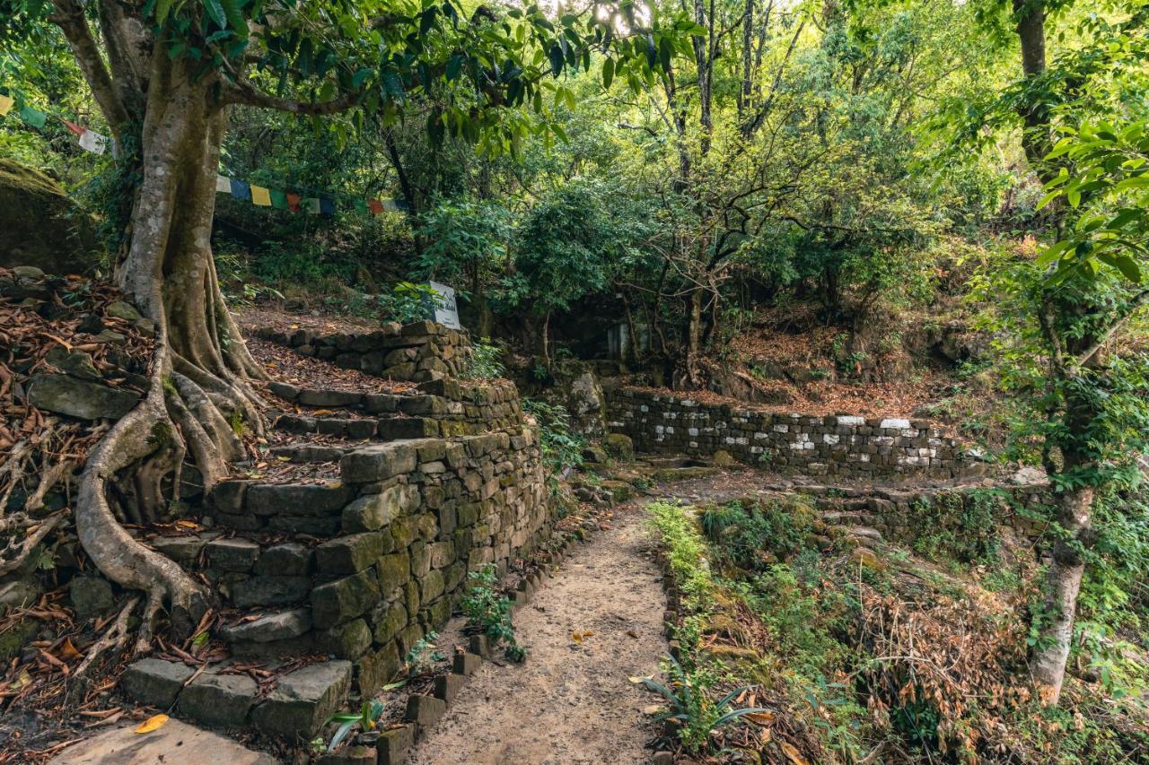Patwa Dunga Vista Hostel Jeolikote, Nainital מראה חיצוני תמונה
