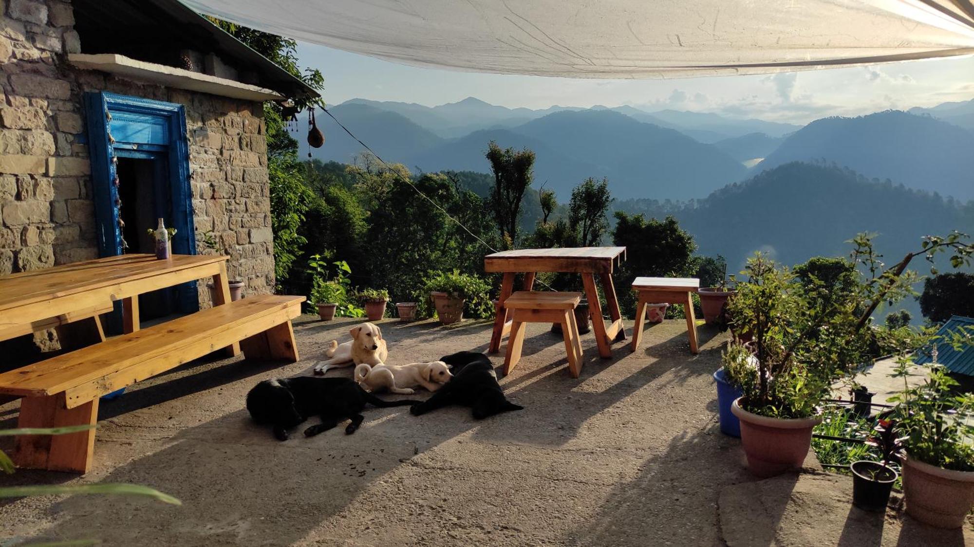 Patwa Dunga Vista Hostel Jeolikote, Nainital חדר תמונה