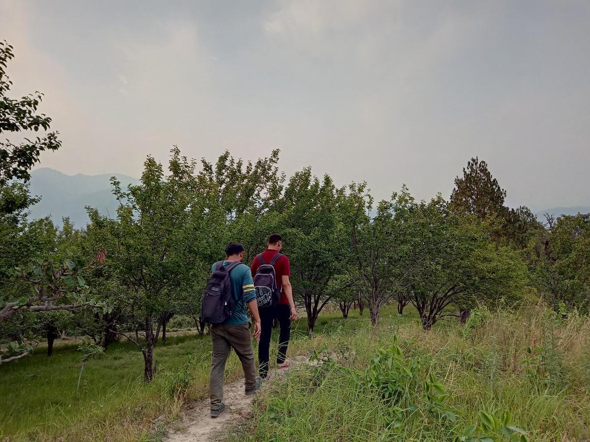 Patwa Dunga Vista Hostel Jeolikote, Nainital מראה חיצוני תמונה